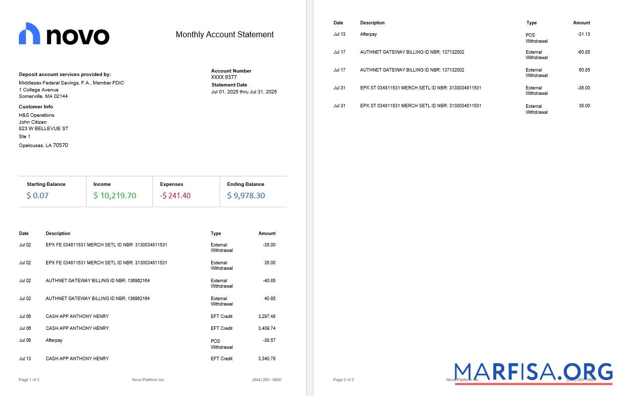 Blank USA Novo Platform INC online business banking statement, 2 pages.pdf example